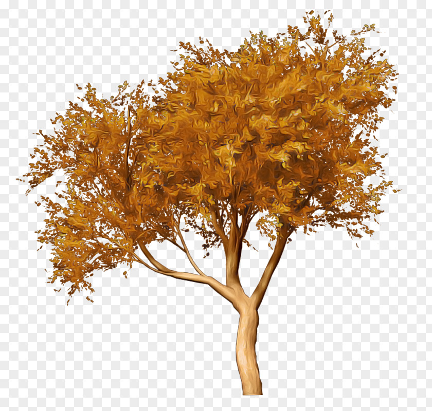 Maple Branch Orange PNG