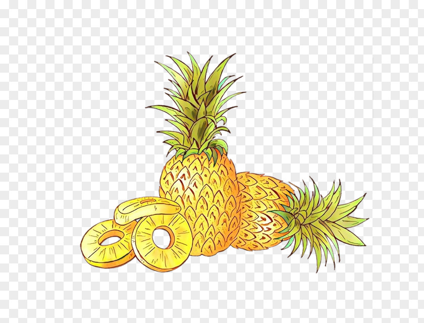 Pineapple Aquarium Decor PNG