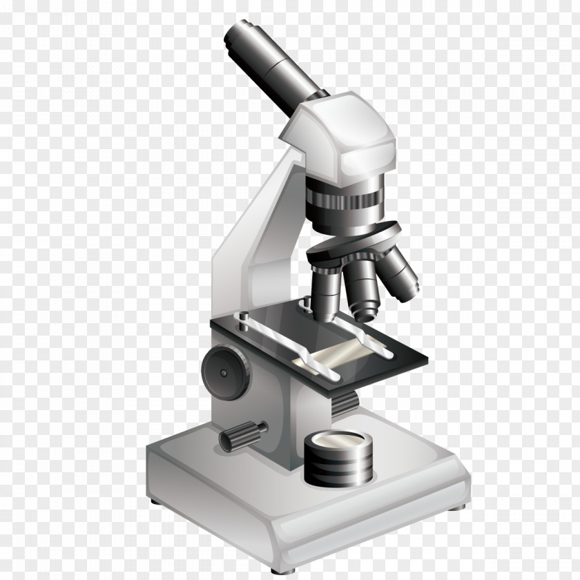 Vector Microscope Bacteria Clip Art PNG
