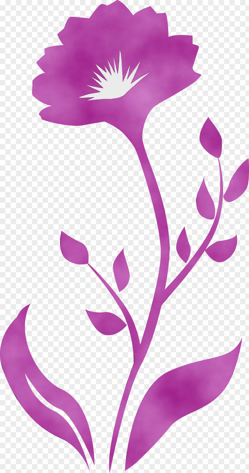 Violet Pedicel Purple Flower Pink PNG