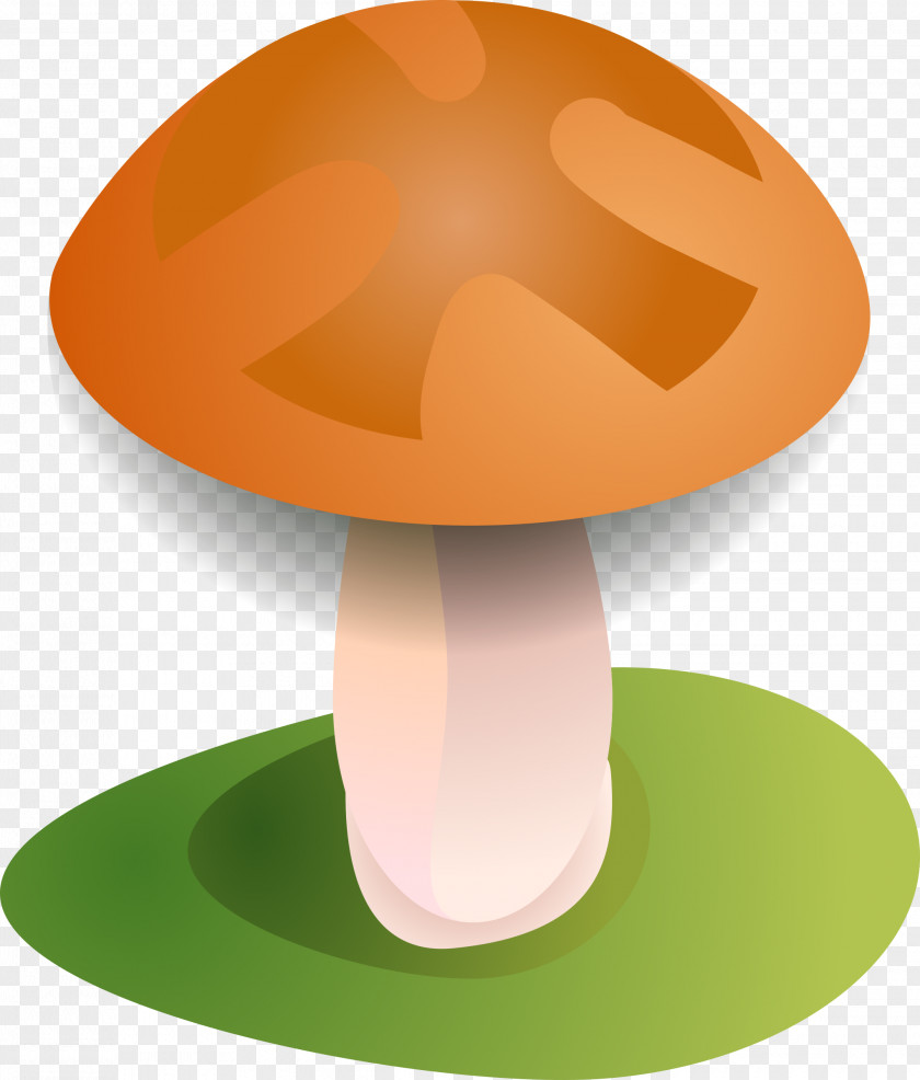 Fungi Amanita Muscaria Mushroom Fungus Agaric PNG