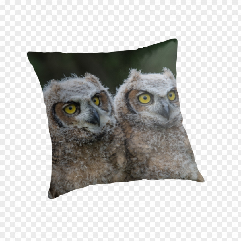 Great Horned Owl Throw Pillows Cushion Snout Beak PNG