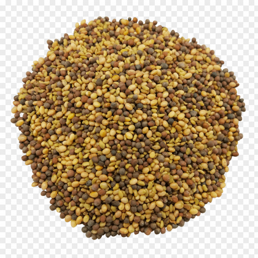 Mate Spice Za'atar Antioxidant Seed PNG