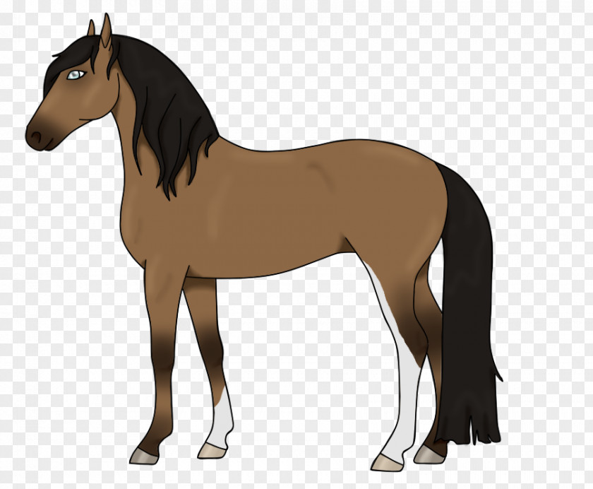 Mustang Mane Foal Stallion Colt PNG