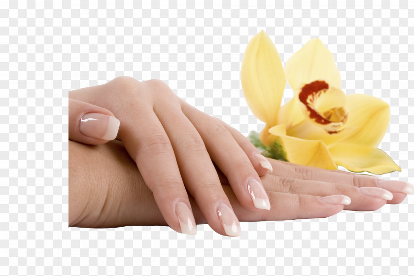 Nail Sevastopol Fernandes Group Company Cosmetics PNG