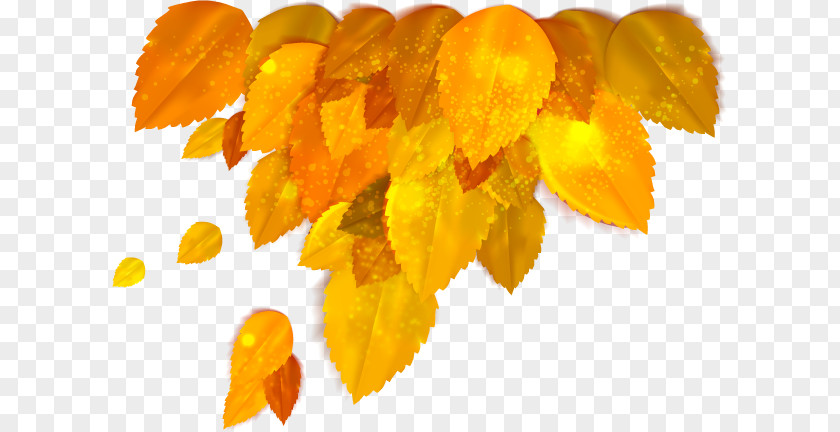 Accessori Ornament Autumn Clip Art Stock Photography Vector Graphics Yellow PNG