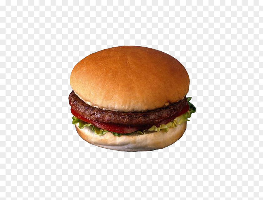 Barbecue Hamburger Cheeseburger Salisbury Steak Patty PNG