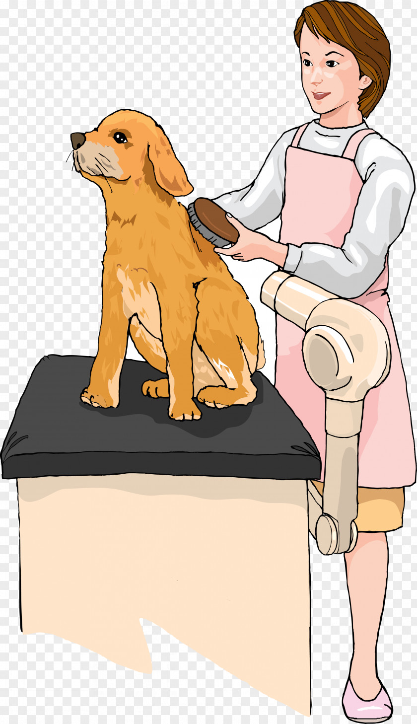 Cartoon Pet Beauty Dog ​​comb Illustration Vector Labrador Retriever Puppy Cat Grooming PNG