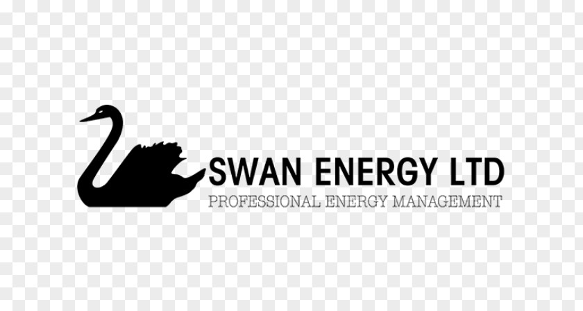 Energy Cygnini Swan Limited Logo Technology PNG