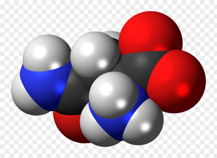 L Amino Acid Glutamic Space-filling Model Zwitterion PNG