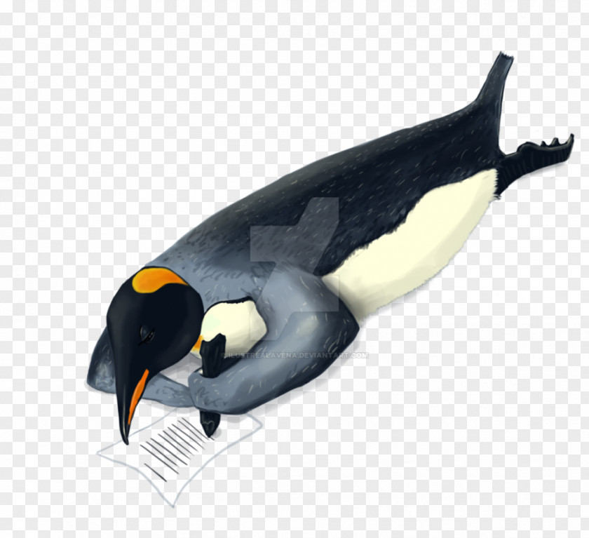 Penguin King Marine Mammal Animal Beak PNG