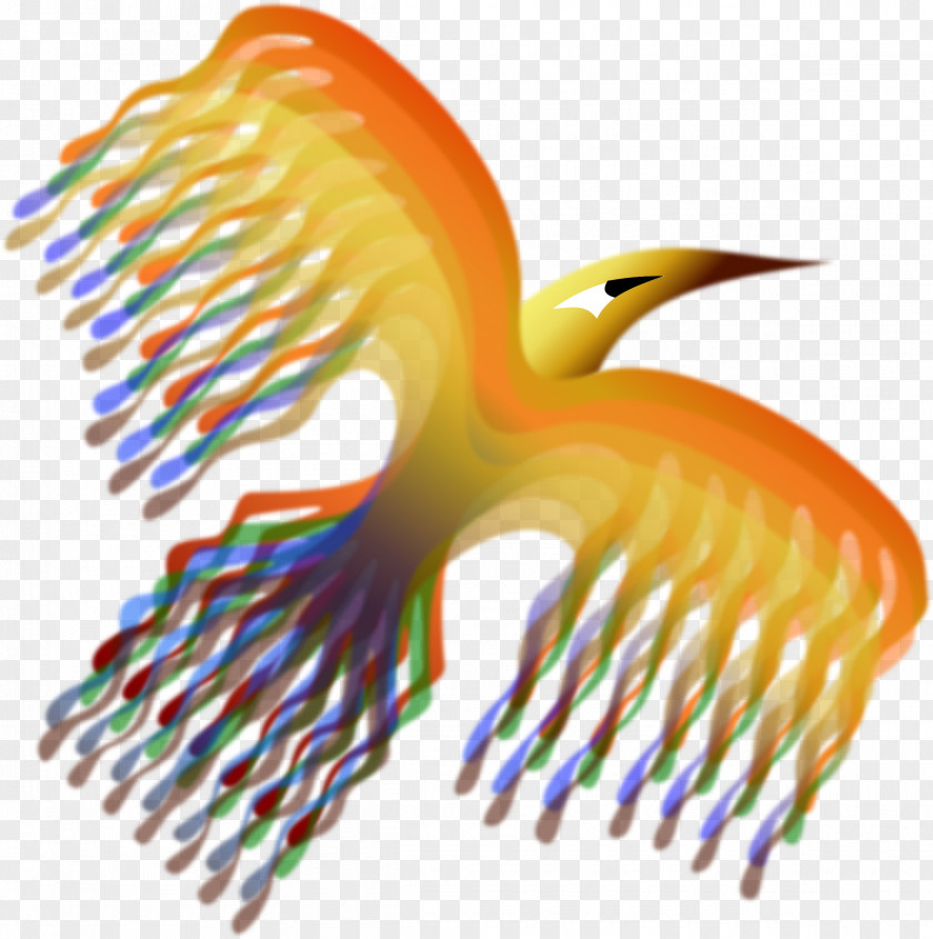Phoenix Bird Clip Art PNG