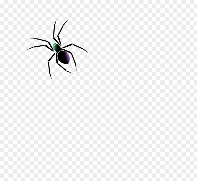 Spider Silk Insect Pollinator Close-up Line Font PNG