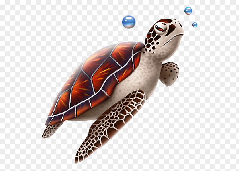 Turtle Green Sea Reptile PNG