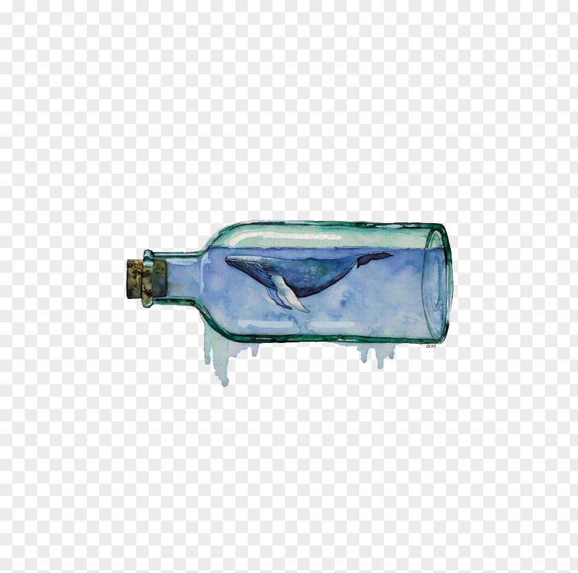 Bottle Dolphin Paper Watercolor Painting Printing Printmaking PNG