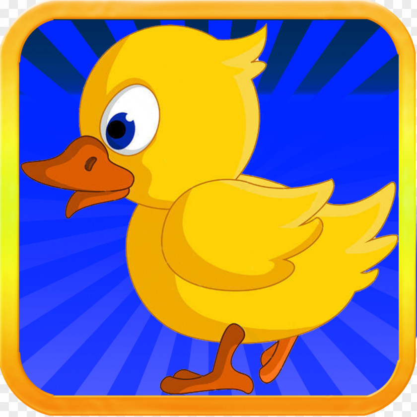 Duckling Love Duck Beak Clip Art PNG