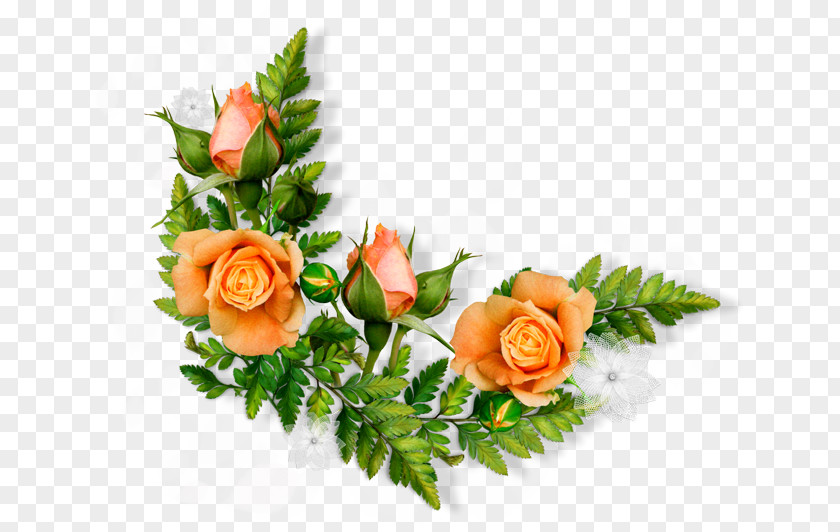 Flower Greeting Wish Image Morning PNG