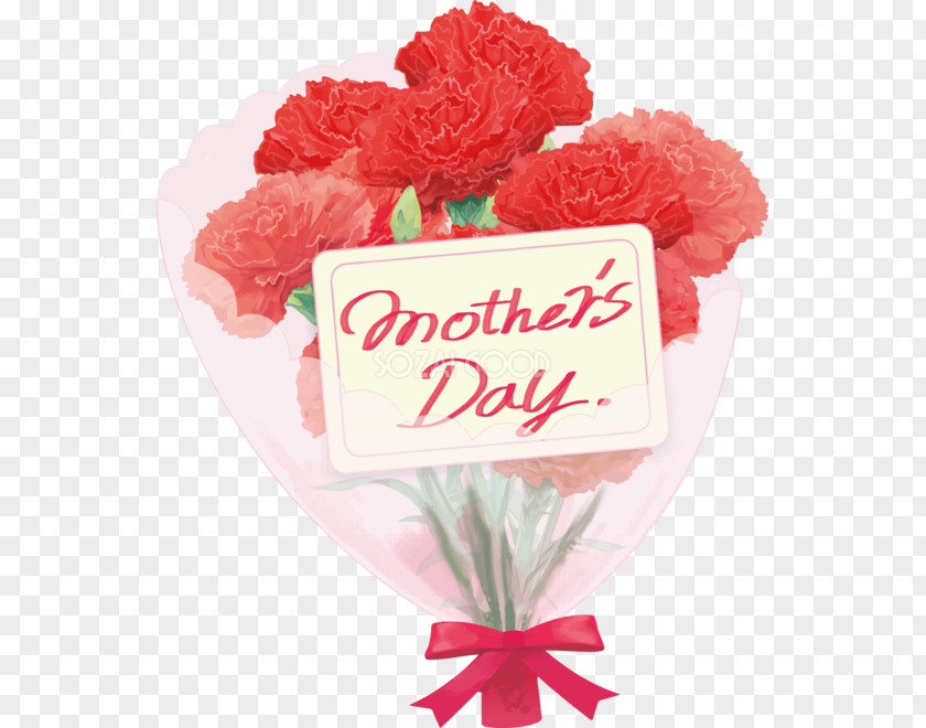 Mother Days Carnation Mother's Day Cut Flowers Flower Bouquet PNG