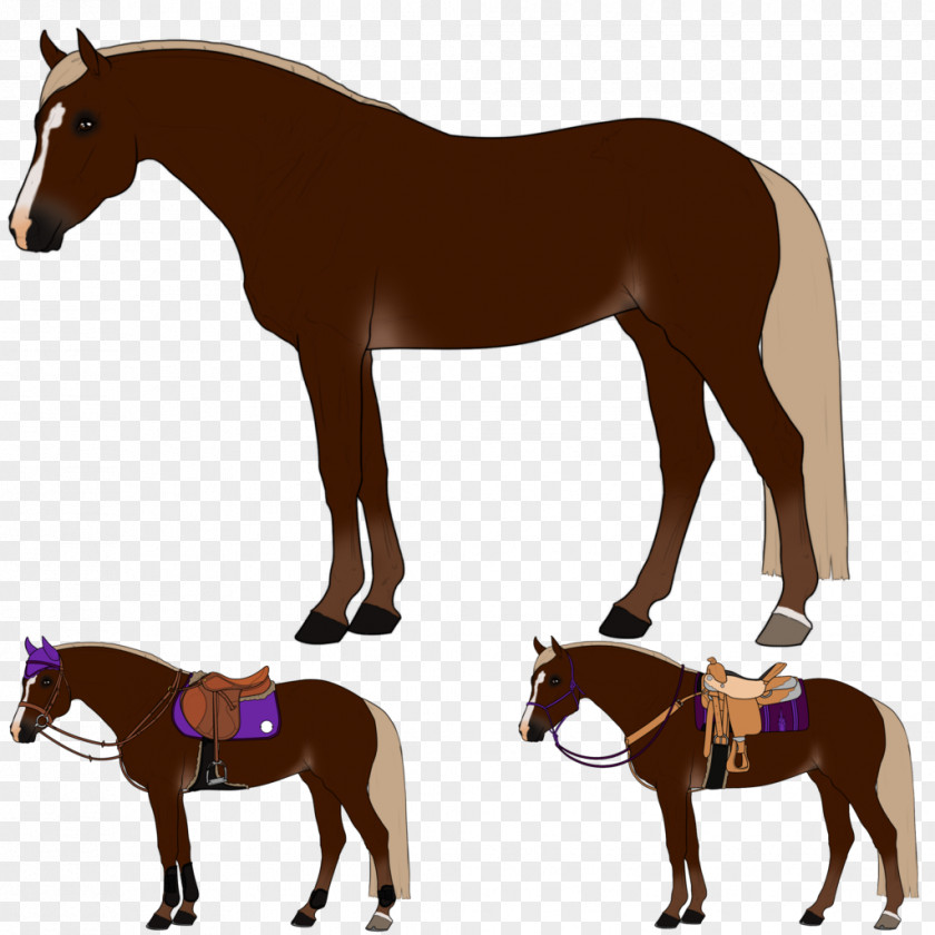 Mustang Foal Stallion Colt Rein PNG