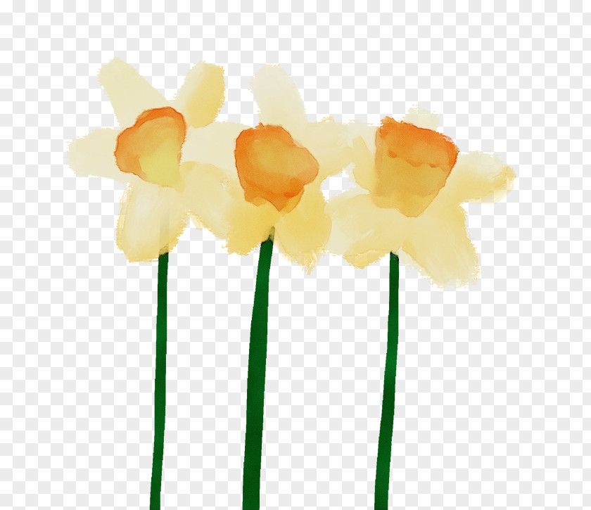 Petal Cut Flowers Yellow Flower PNG