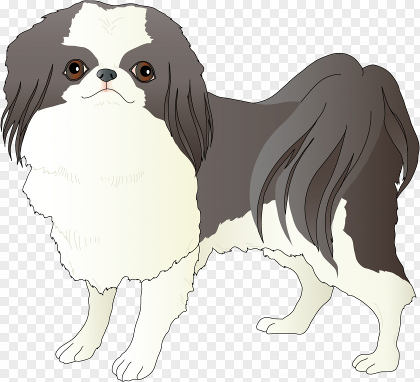 A Drum Dog Japanese Chin Breed Companion Spaniel Toy PNG