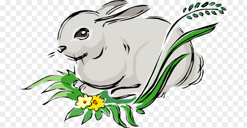Rabbit European Hare Easter Bunny Clip Art PNG