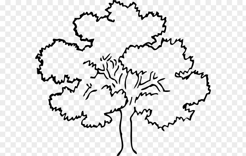 Tree Drawing Outline Clip Art PNG