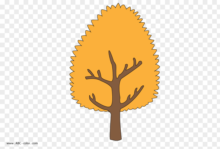 Tree Drawing Raster Graphics Paper PNG