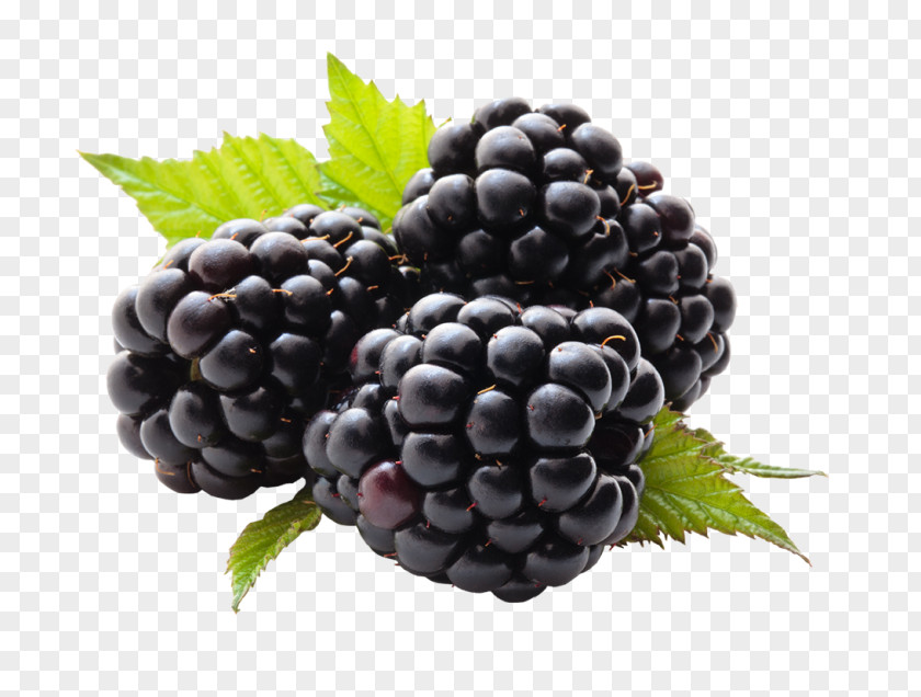 BlackBerry Juice Fruit Blueberry Stock Photography PNG