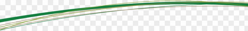 Kiwifruit Rope Green Close-up Line Font PNG
