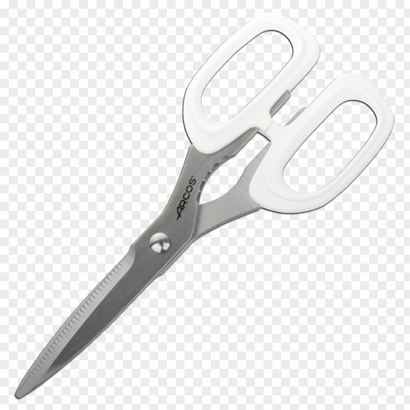 Scissor Knife Superposuda.ru Scissors Kitchen Knives Tool PNG