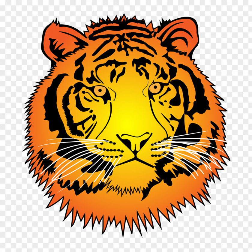 Web Developer Tiger Cat Clip Art PNG