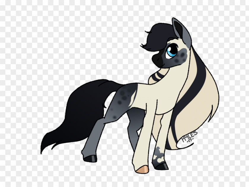 Cat Dog Pony Horse Bird PNG