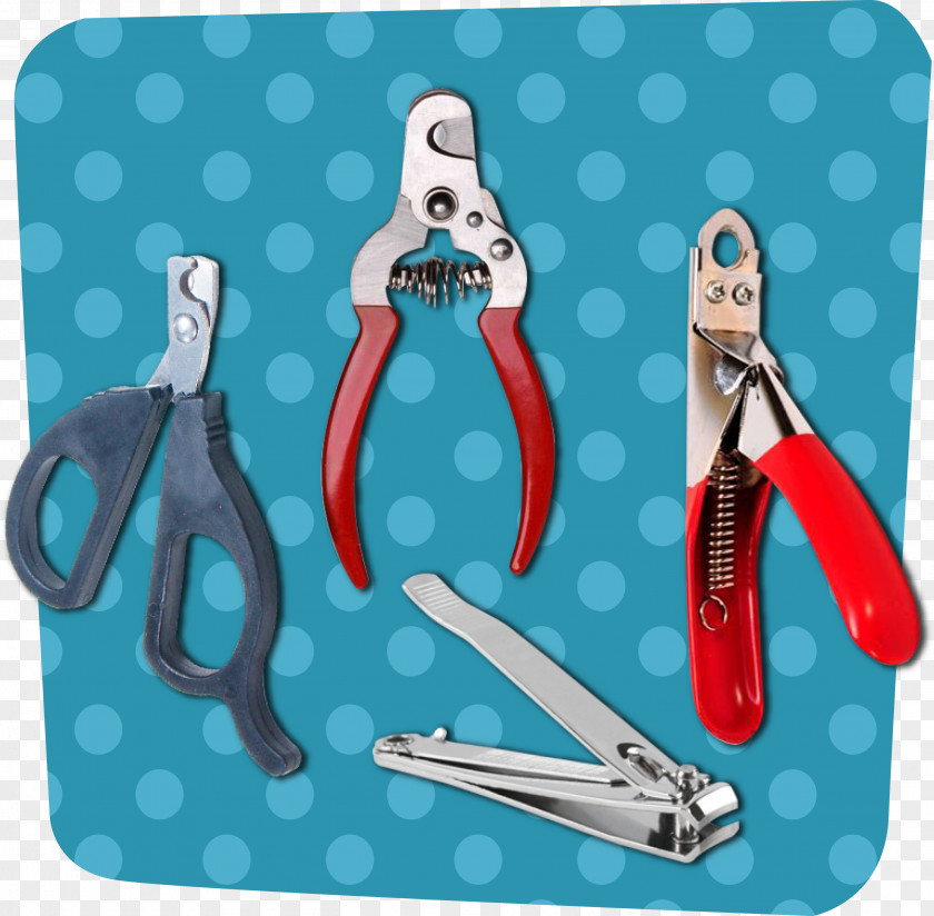 Cat Kitten Nail Clippers Scissors Dog PNG