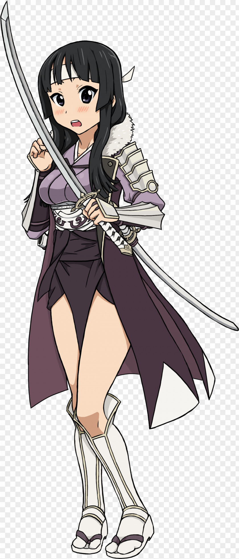 Fire Emblem Awakening Fates Emblem: The Sacred Stones Video Game PNG