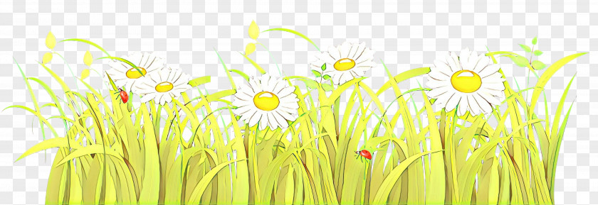 Grasses Plant Stem Desktop Wallpaper Meadow PNG