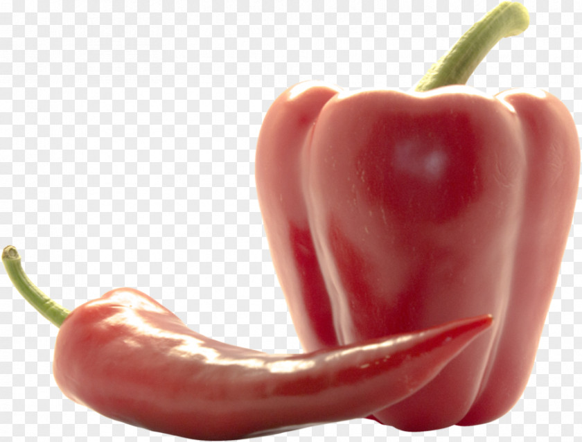 Plant Capsicum Pimiento Bell Peppers And Chili Pepper Natural Foods PNG