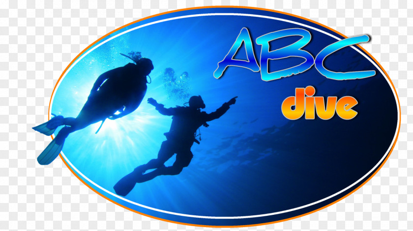Swim A Lap Day Underwater Diving Scuba Diver Certification ABC Dive Center PNG