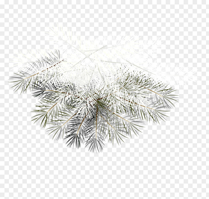 Christmas Ornament Clip Art PNG