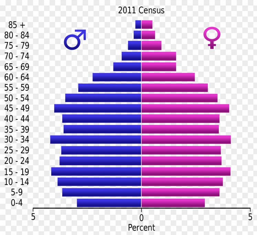 Egypt Tourism Population Pyramid Demographic Transition Demography Growth PNG