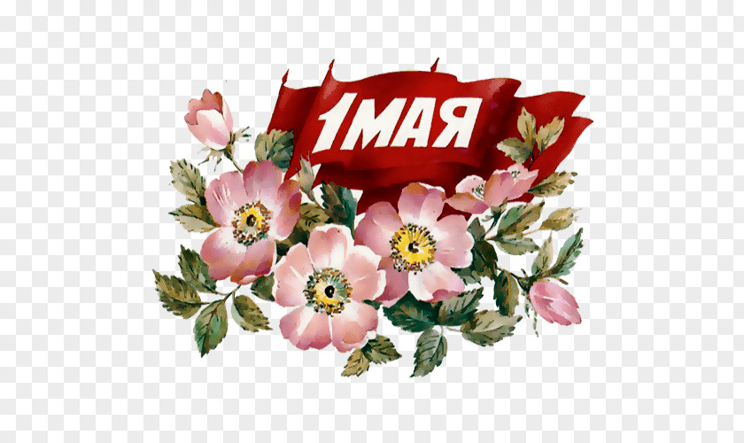 Floral Design Holiday International Workers' Day Cut Flowers Ansichtkaart PNG