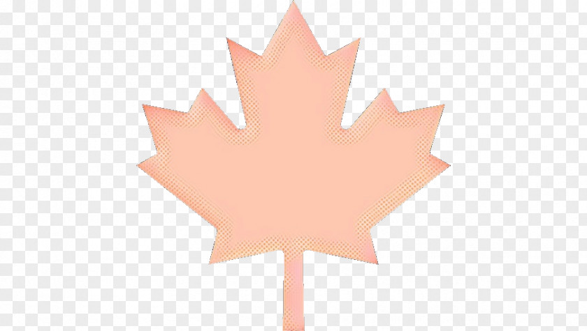 Peach Soapberry Family Canada Maple Leaf PNG