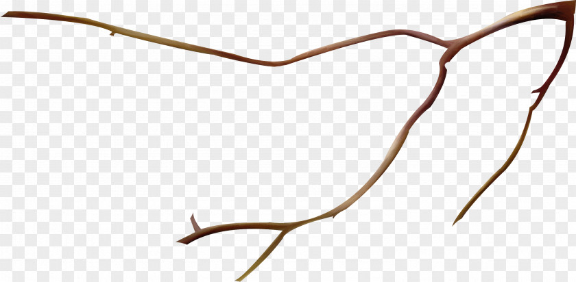 Simple Branch Twig Wood Tree PNG