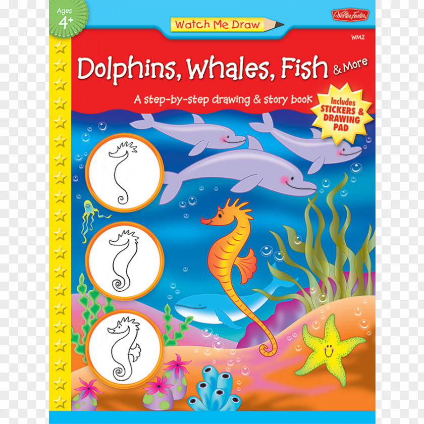 Whale Drawing Watch Me Draw: Dolphins, Whales, Fish And More Organism Marine Biology Cetacea PNG