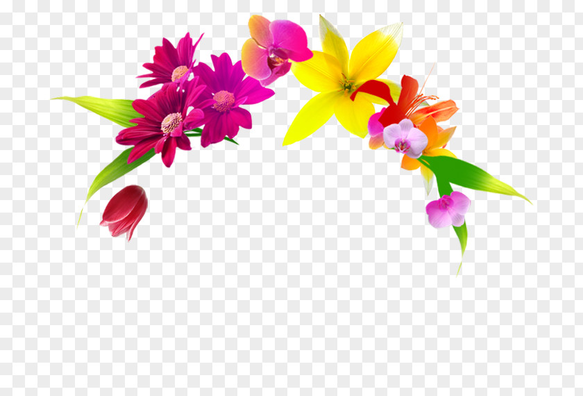 Design Floral Cut Flowers Flowerpot Plant PNG