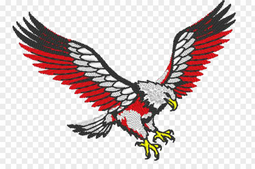 Eagle Bald Image Drawing Red PNG