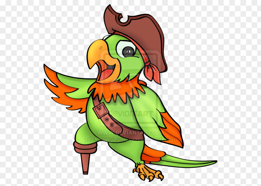 Pirate Parrot Amazon Piracy Clip Art PNG