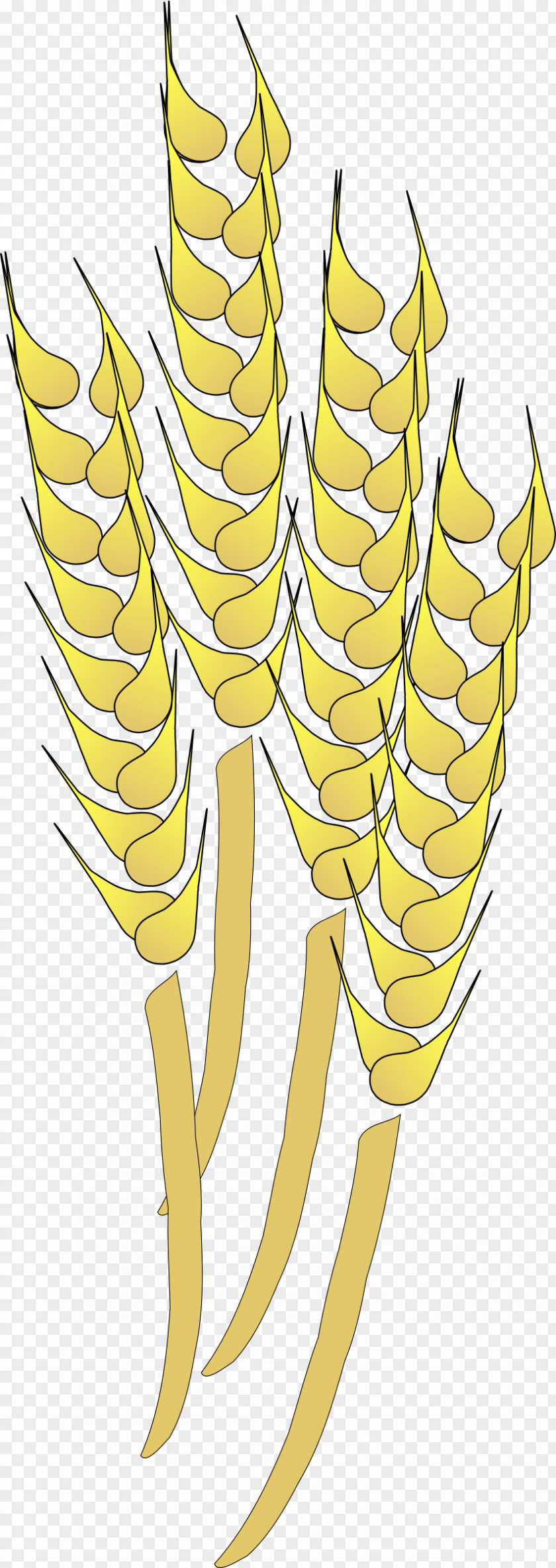 Wheat Cereal Clip Art PNG