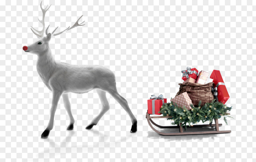 Animal Figure Elk Christmas And New Year Background PNG