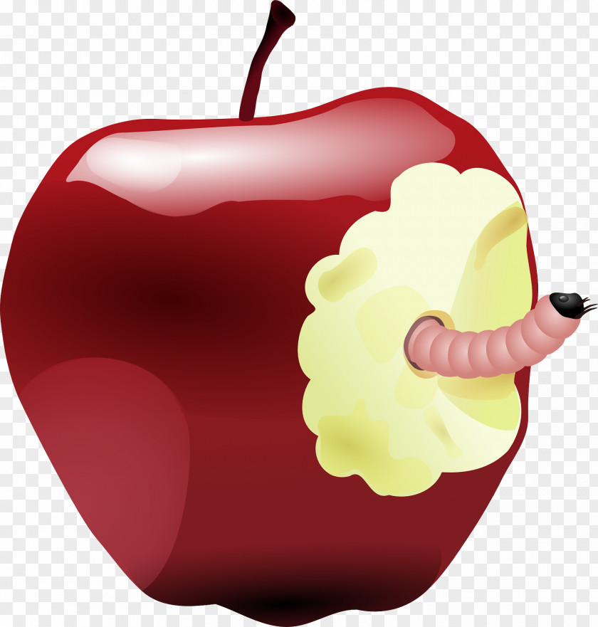 Apple Worm Clip Art PNG